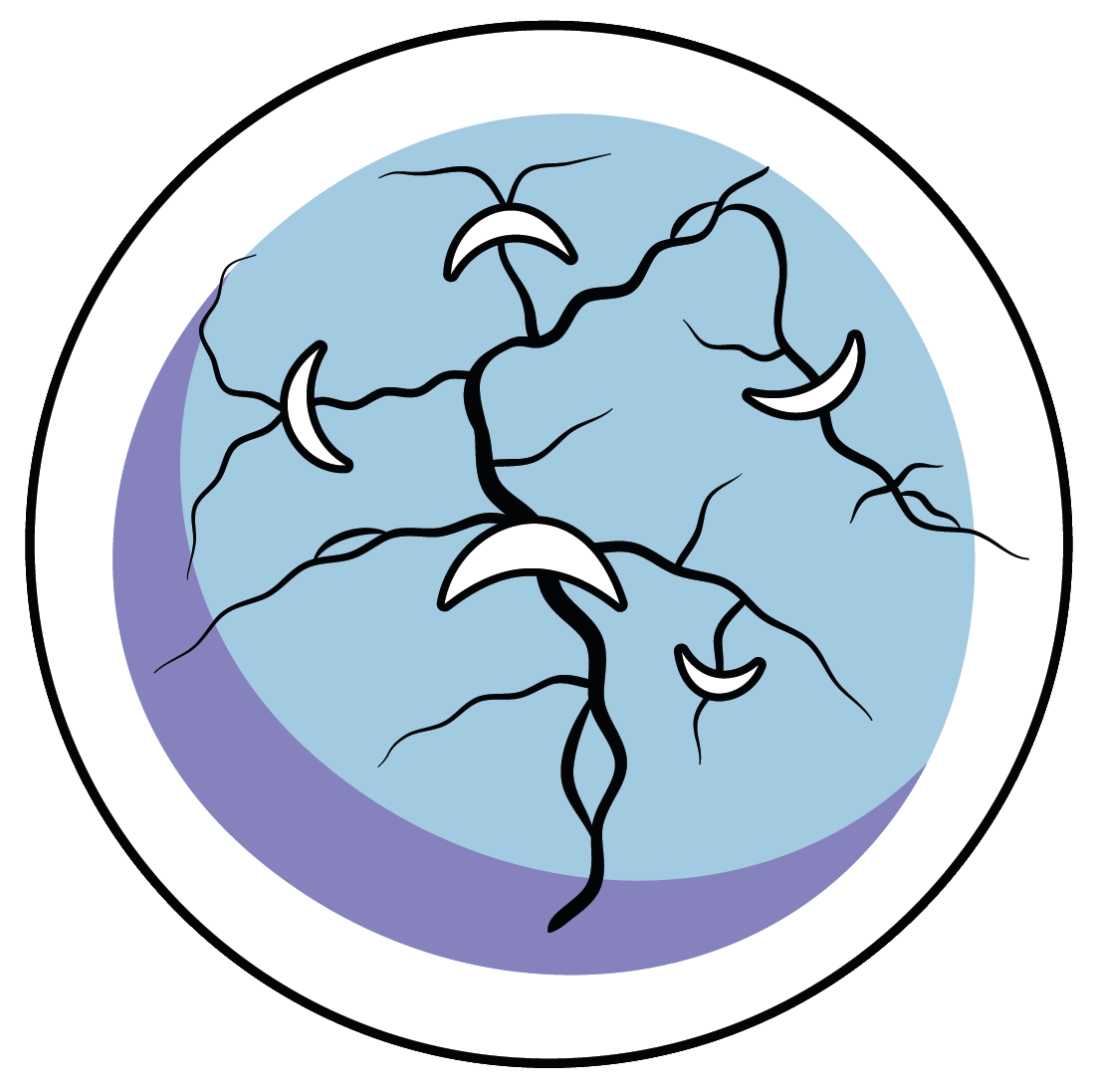 Logo d'Ecorhizo (© Adrien Solacroup)